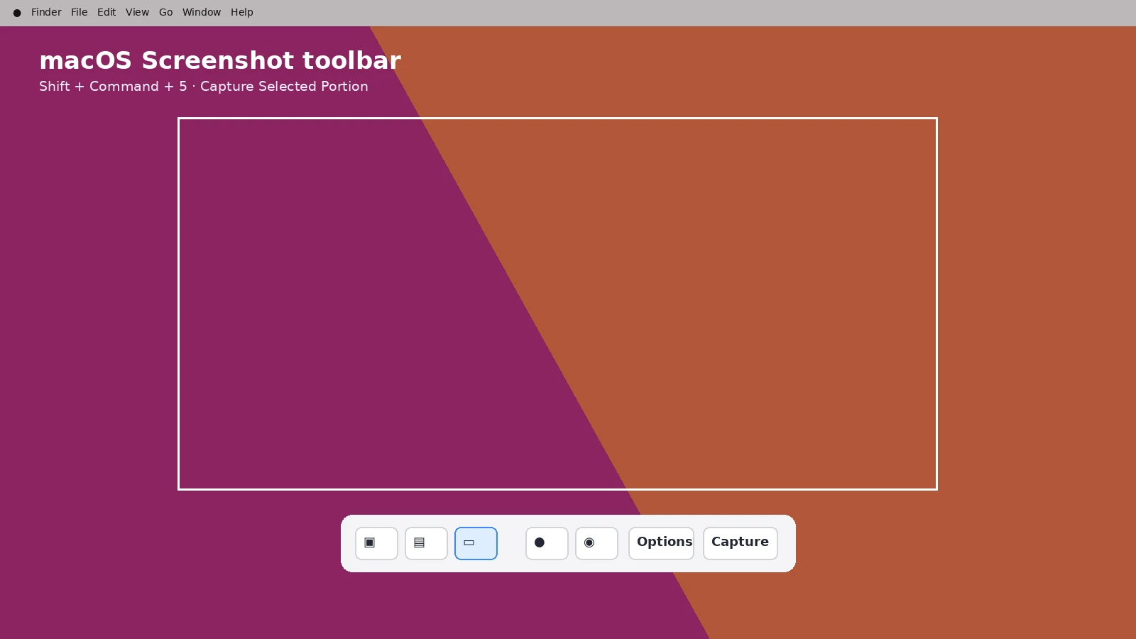macOS Screenshot toolbar with selected-region capture active
